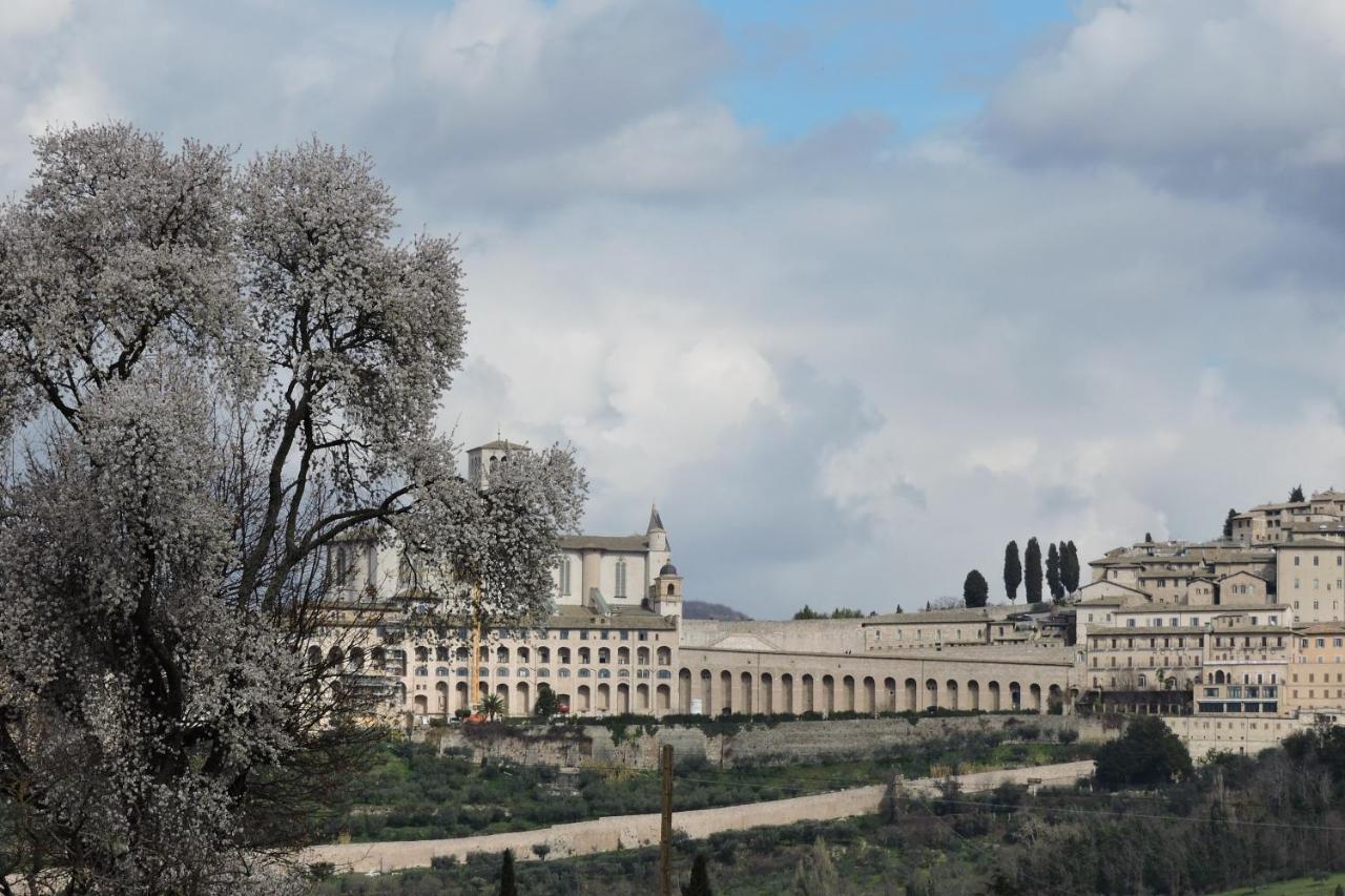 Da Franca Bed & Breakfast Assisi Exterior foto