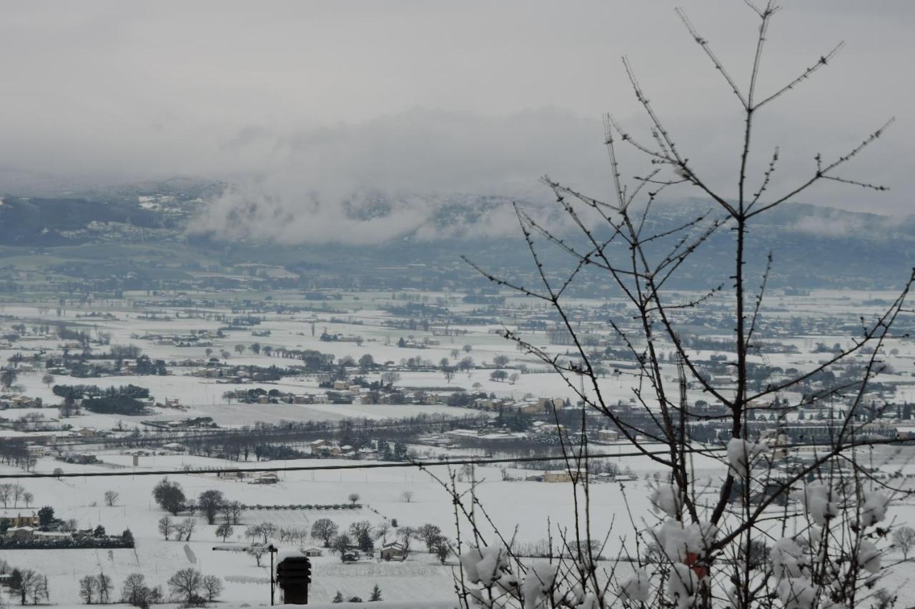 Da Franca Bed & Breakfast Assisi Exterior foto